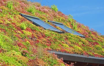 Orton Rigg living roof systems